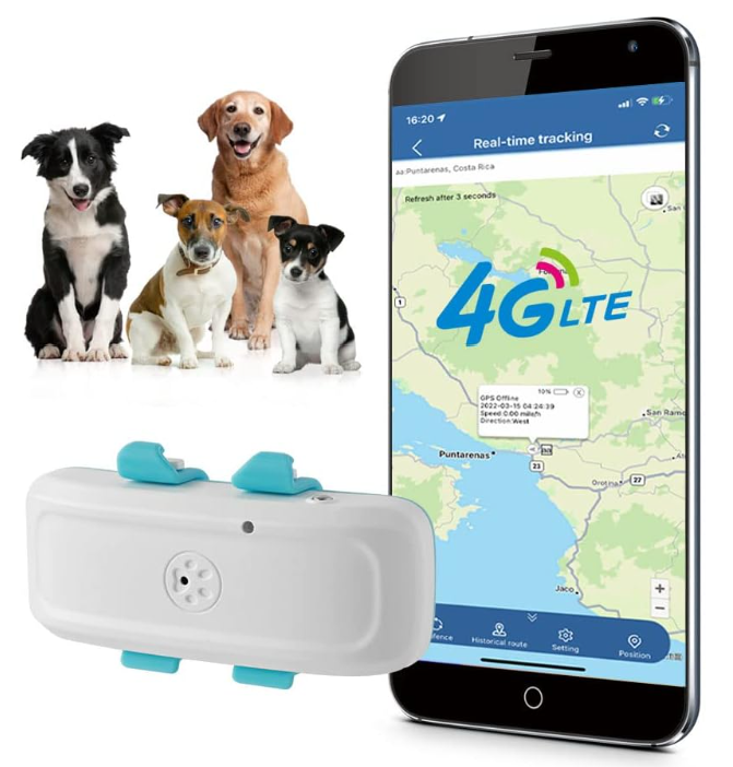 mejores collares GPS para perros sin suscripción del mercado